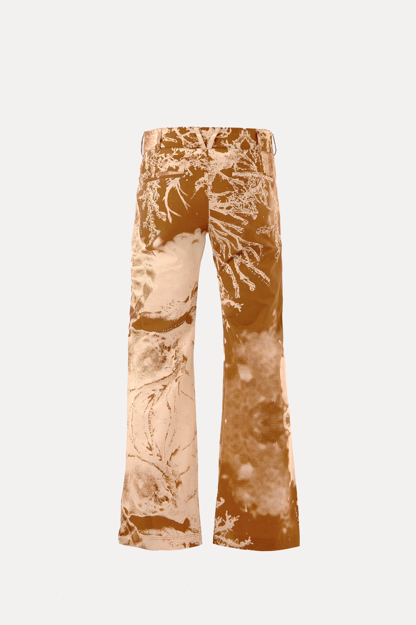 Pantalón Radiografía