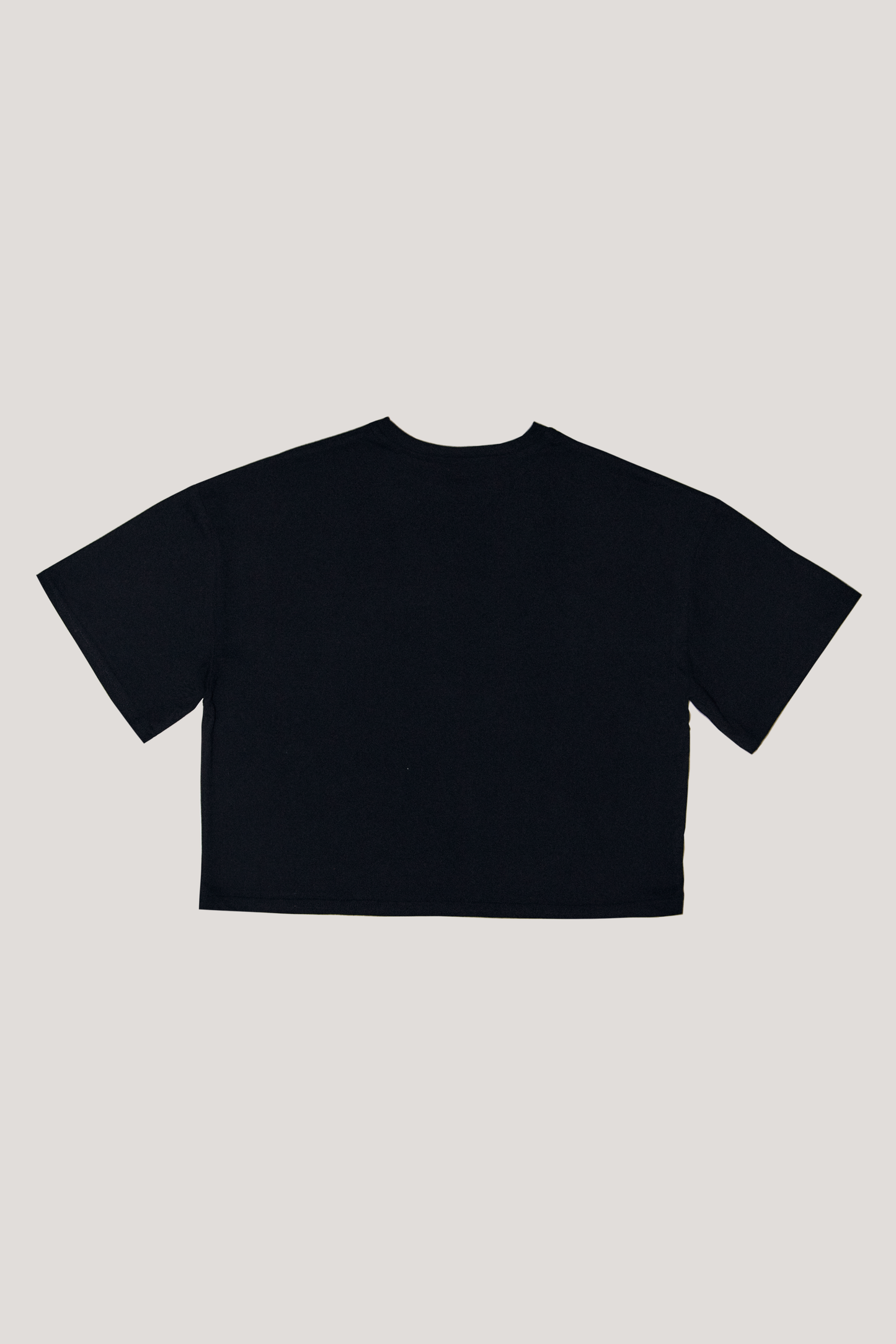 T-Shirt POV